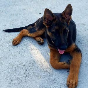 Meet your Posher, Erick